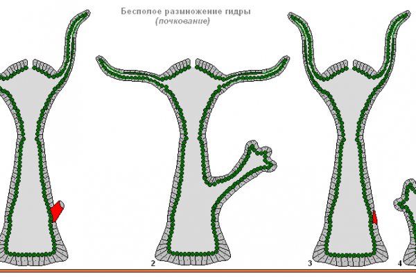 Сайт кракен россия