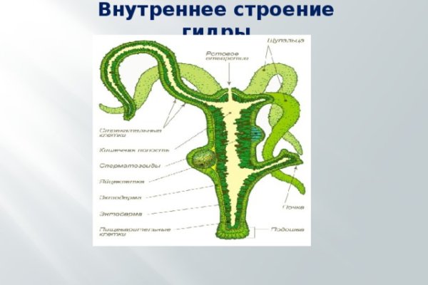 Onion сайт кракен
