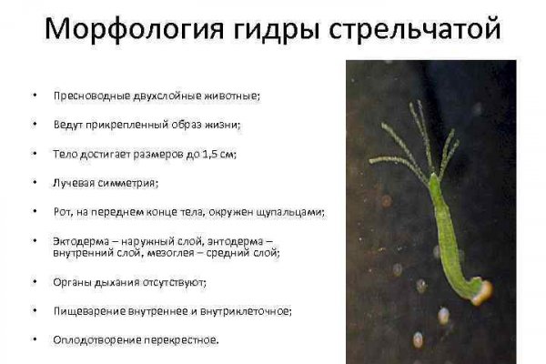 Онлайн магазин наркотиков